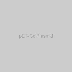 Image of pET- 3c Plasmid